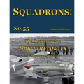 The Supermarine Spitfire Mk IX: The Auxiliary squadrons - Paperback