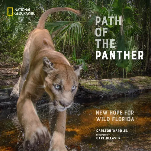 Path of the Panther: New Hope for Wild Florida - Hardcover