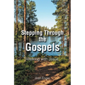 Stepping Through the Gospels: Walking with Jesus - Paperback