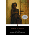 Our Nig: Or, Sketches from the Life of a Free Black - Paperback
