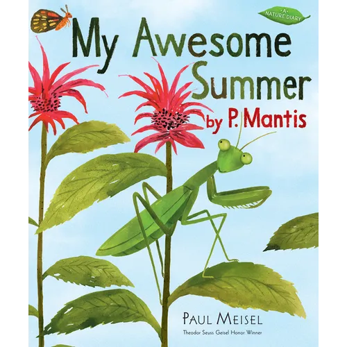 My Awesome Summer by P. Mantis - Paperback