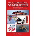 Accidental Madness: At The Intersection of Extreme Creativity and Entrepreneurship - Paperback