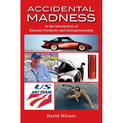 Accidental Madness: At The Intersection of Extreme Creativity and Entrepreneurship - Paperback