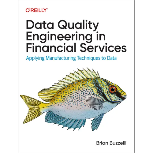 Data Quality Engineering in Financial Services: Applying Manufacturing Techniques to Data - Paperback