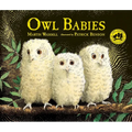 Owl Babies - Hardcover