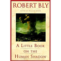 A Little Book on the Human Shadow - Paperback