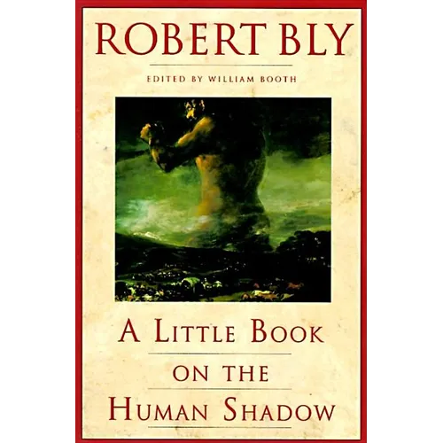A Little Book on the Human Shadow - Paperback