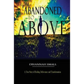 From Abandoned To Above - Paperback