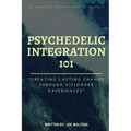 Psychedelic Integration 101: Creating Lasting Change Through Visionary Experiences - Paperback
