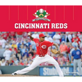 Cincinnati Reds - Library Binding