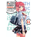 My Youth Romantic Comedy Is Wrong, as I Expected, Vol. 11 (Light Novel): Volume 11 - Paperback