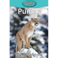 Pumas - Paperback