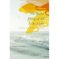 The Worst Thing of All Is the Light - Hardcover