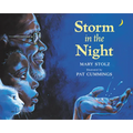 Storm in the Night - Paperback