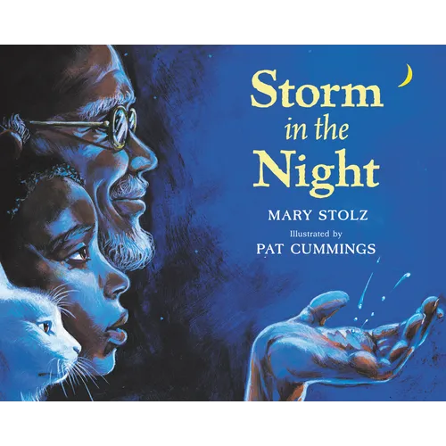 Storm in the Night - Paperback
