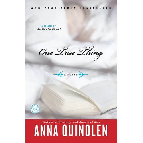 One True Thing - Paperback