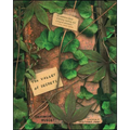 The Valley of Secrets - Paperback
