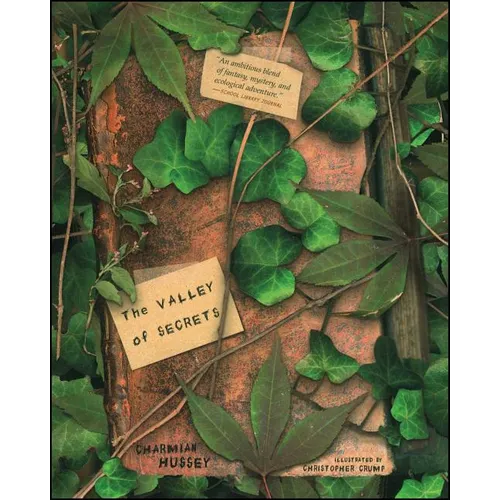 The Valley of Secrets - Paperback