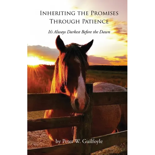 Inheriting the Promises Through Patience: It's Always Darkest Before the Dawn - Paperback