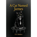 A Cat Named James - Paperback