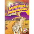 Antelope Jackrabbits - Library Binding