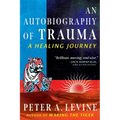 An Autobiography of Trauma: A Healing Journey - Paperback