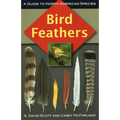 Bird Feathers - Paperback