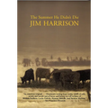The Summer He Didn't Die - Paperback