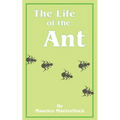 The Life of the Ant - Paperback