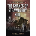 Darkness at the Edge of Time: The Snakes of Strawberry Hill - Paperback