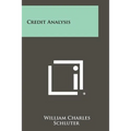 Credit Analysis - Paperback