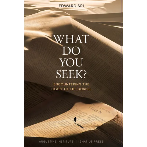 What Do You Seek?: Encountering the Heart of the Gospel - Paperback