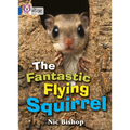 The Fantastic Flying Squirrel: Band 04/Blue - Paperback