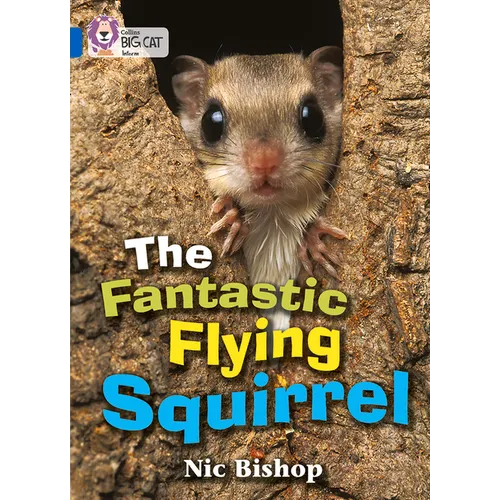 The Fantastic Flying Squirrel: Band 04/Blue - Paperback