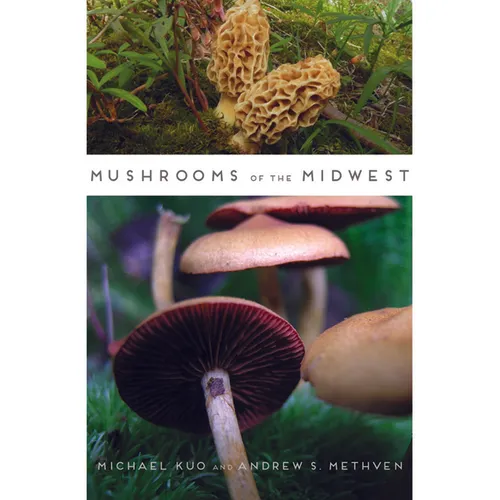 Mushrooms of the Midwest - Paperback