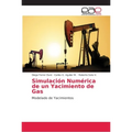 Simulación Numérica de un Yacimiento de Gas - Paperback