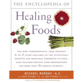 Encyclopedia of Healing Foods - Paperback