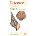 Shells of North America - Paperback