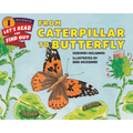 From Caterpillar to Butterfly - Paperback