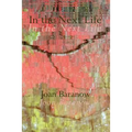 In the Next Life - Paperback
