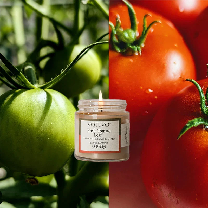 Votivo Fresh Tomato Leaf Discovery Candle