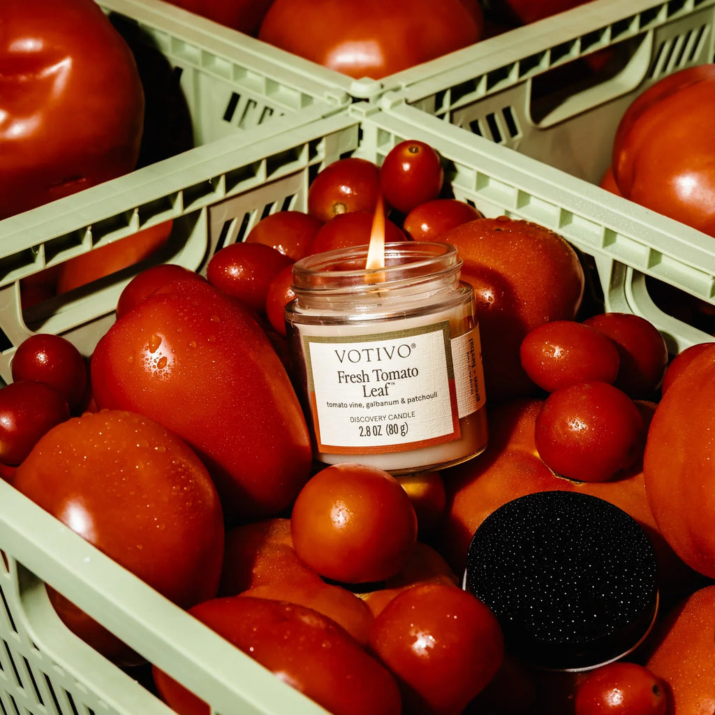 Votivo Fresh Tomato Leaf Discovery Candle