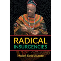 Radical Insurgencies - Paperback