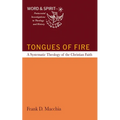 Tongues of Fire: A Systematic Theology of the Christian Faith - Paperback