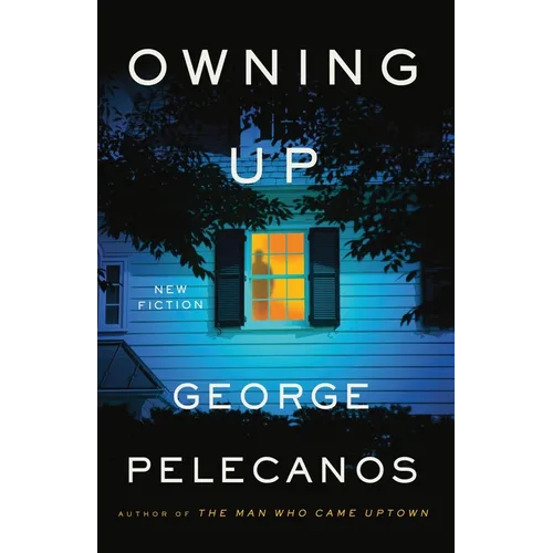 Owning Up: New Fiction - Hardcover