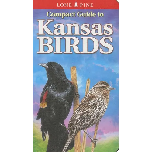 Compact Guide to Kansas Birds - Paperback