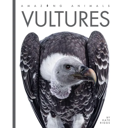 Vultures - Paperback