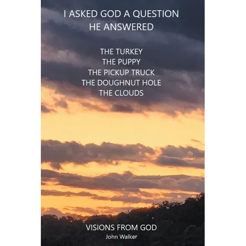 I Asked God a Question He Answered: Visions from God - Paperback
