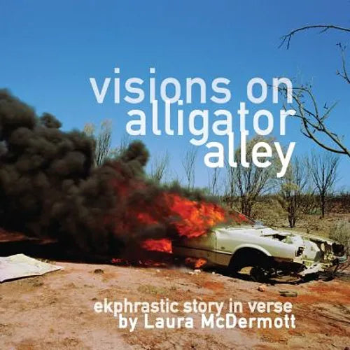 Visions on Alligator Alley: Ekphrastic story in verse - Paperback