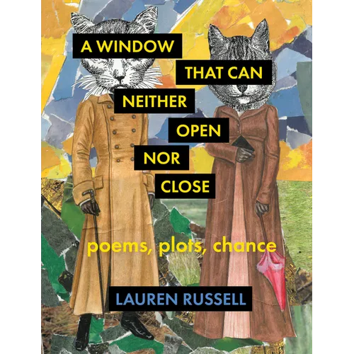 A Window That Can Neither Open Nor Close: Poems, Plots, Chance - Paperback